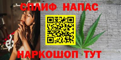СК Обь