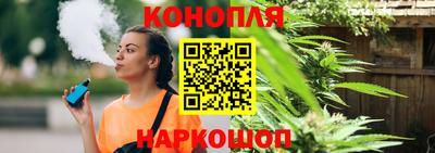 сатива Обнинск