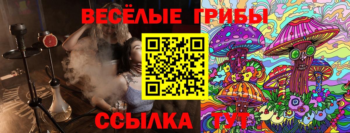 Псилоцибиновые грибы GOLDEN TEACHER  Вход с VPN  Ртищево  даркнет сайт  Псилоцибиновые грибы мицелий 
