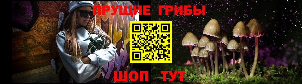 Псилоцибиновые грибы MAGIC MUSHROOMS Ртищево